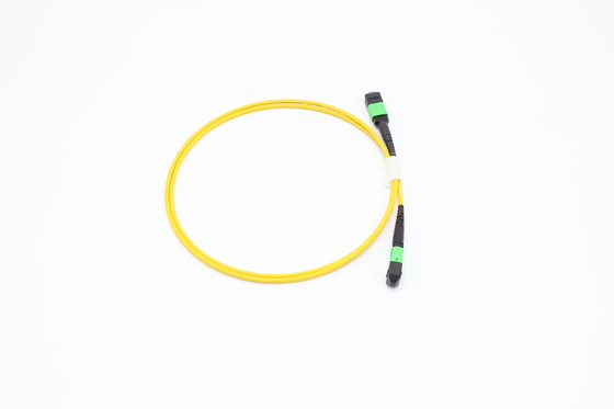 OM3/OM4 MPO Conector 12 Fibra MPO Cable de tronco 8/12/24F MTP MPO Cable para el centro de datos